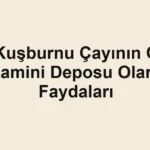 kusburnu-cayinin-c-vitamini-deposu-olarak-faydalari