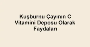 kusburnu-cayinin-c-vitamini-deposu-olarak-faydalari