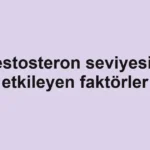 testosteron-seviyesini-etkileyen-faktorler